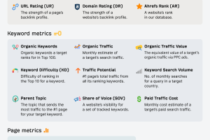 seo-metrics-1